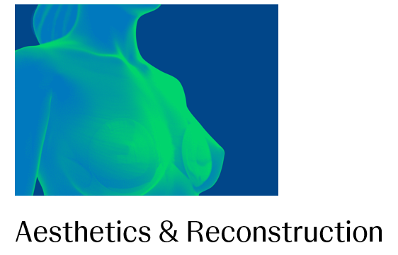 Aesthetics and Reconstruction Image