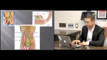 An image displaying the lumbar spine anatomy for review. 