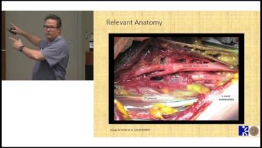 Relevant Anatomy from Left Lateral Retro Approach - Initial Incision and Implant Placement with Andrew Sama MD